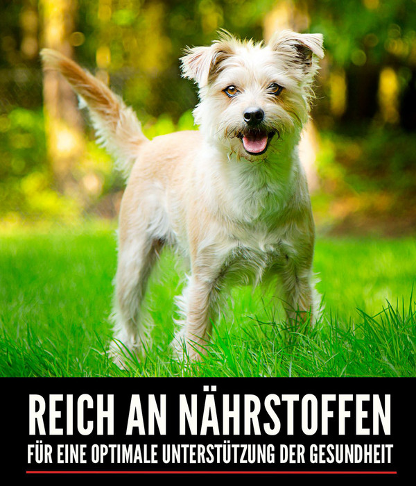 ORIJEN™ Trockenfutter für Hunde Small Breed