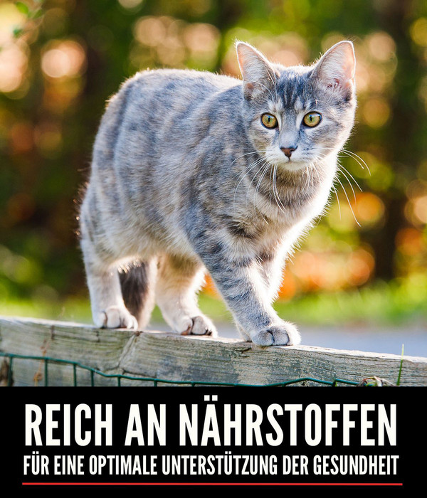 ORIJEN™ Trockenfutter für Katzen Tundra