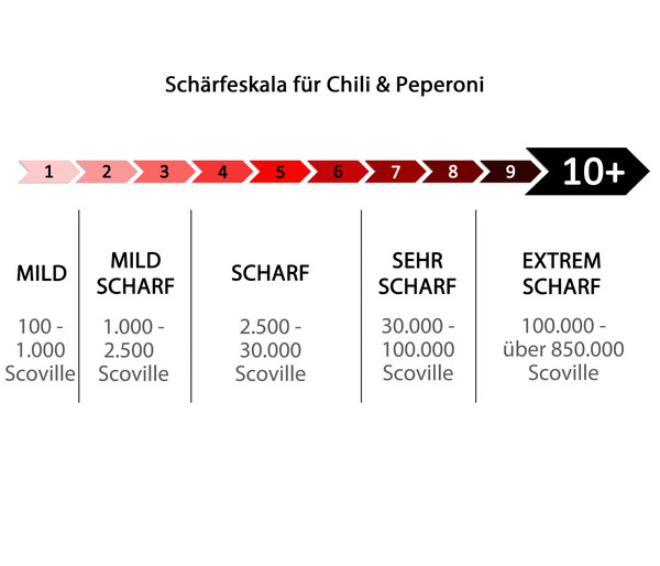 Gemüse-Set Schärfetest, 6-teilig