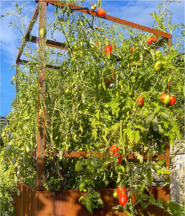 Palatino Cortenstahl-Tomatenhaus, braun, ca. B100/H183/T100 cm