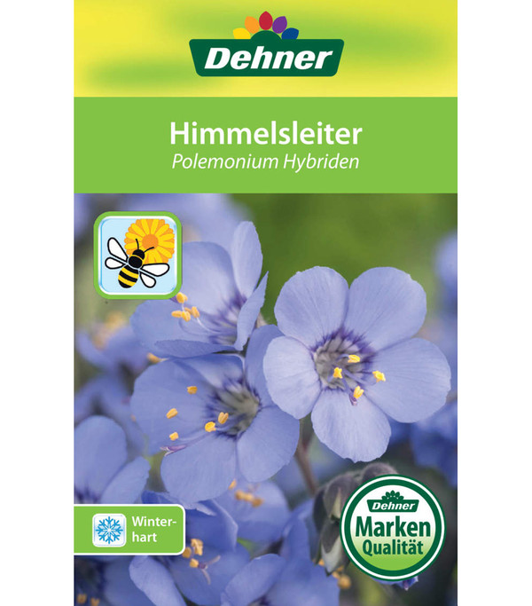 Jakobsleiter, Himmelsleiter