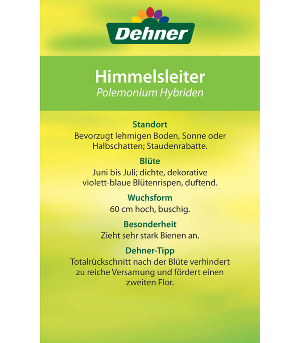 Jakobsleiter, Himmelsleiter