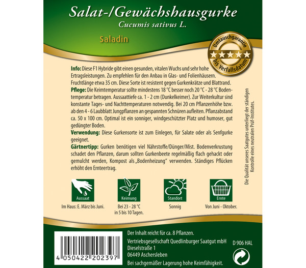 Quedlinburger Salat-/Gewächshausgurke 'Saladin'