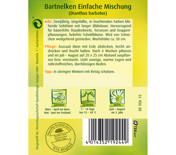 Quedlinburger Samen Bartnelke 'Einfache Mischung'