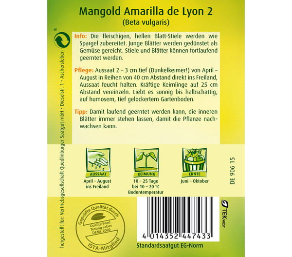 Quedlinburger Samen Mangold 'Amarilla De Lyon 2'