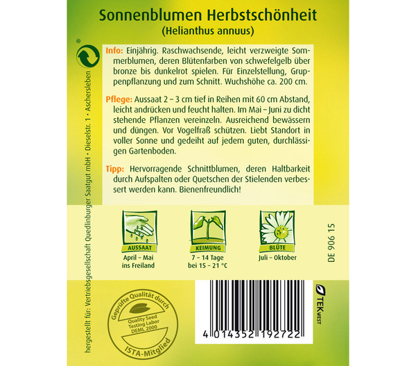 Quedlinburger Samen Sonnenblume 'Herbstschönheit'