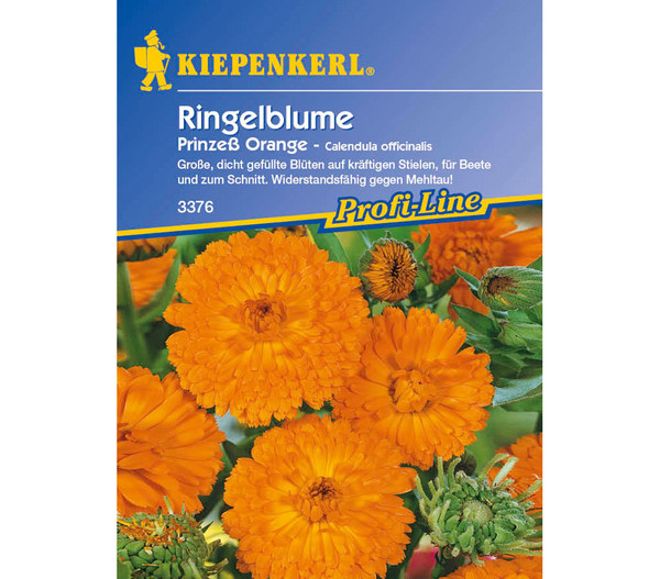 Ringelblume Prinzeß Orange, Saatgut von Kiepenkerl