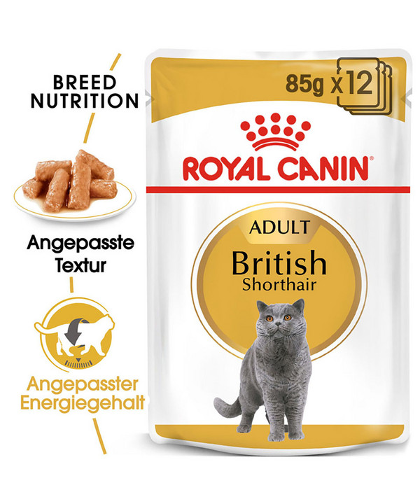 ROYAL CANIN® Nassfutter für Katzen British Shorthair in Soße, 12 x 85 g