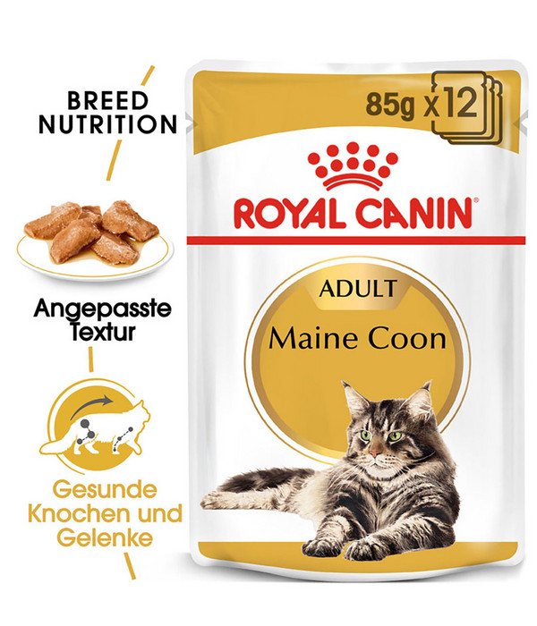 ROYAL CANIN® Nassfutter für Katzen Maine Coon Adult in Soße, 12 x 85 g