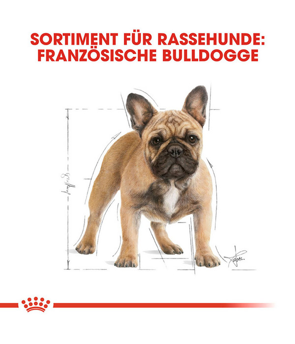 ROYAL CANIN® Trockenfutter für Hunde French Bulldog Adult, 9 kg