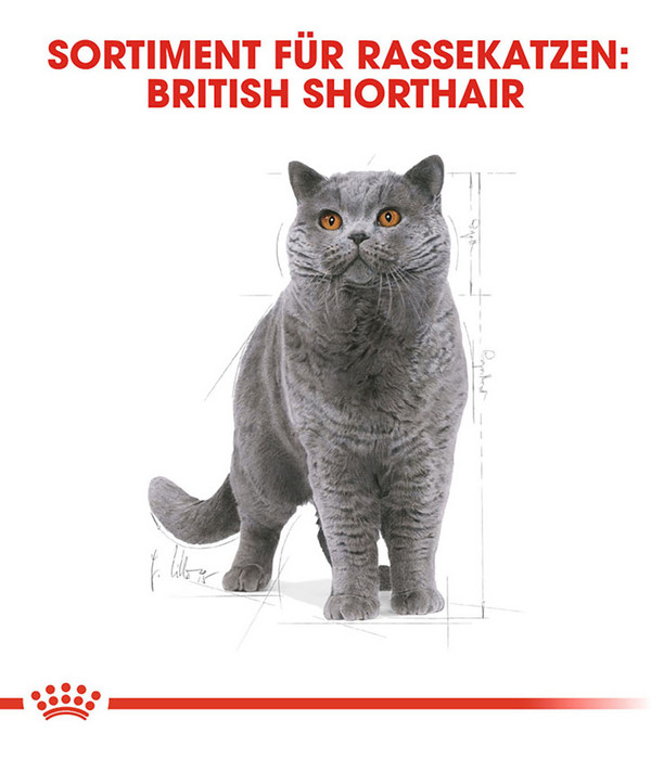 ROYAL CANIN® Trockenfutter für Katzen British Shorthair Adult