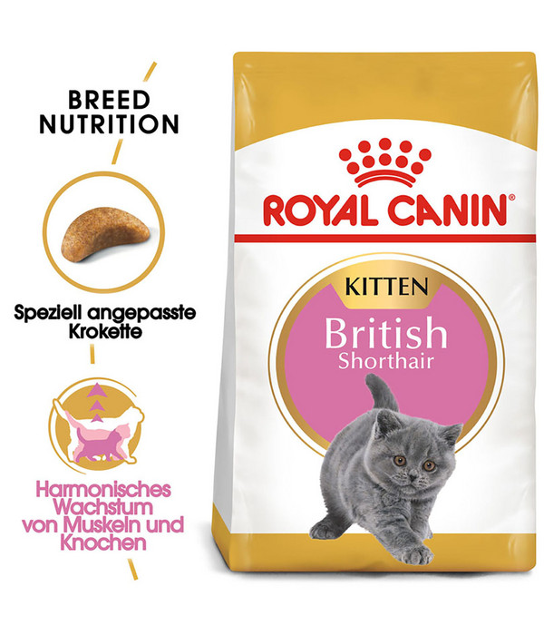 ROYAL CANIN® Trockenfutter für Katzen British Shorthair Kitten