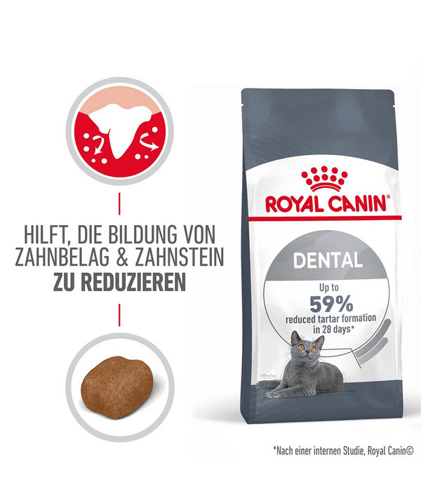 ROYAL CANIN® Trockenfutter für Katzen Dental Care