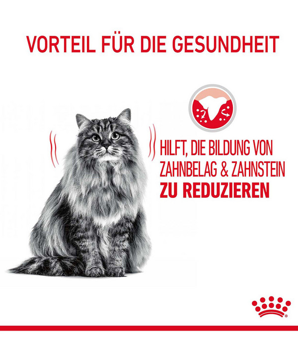 ROYAL CANIN® Trockenfutter für Katzen Dental Care