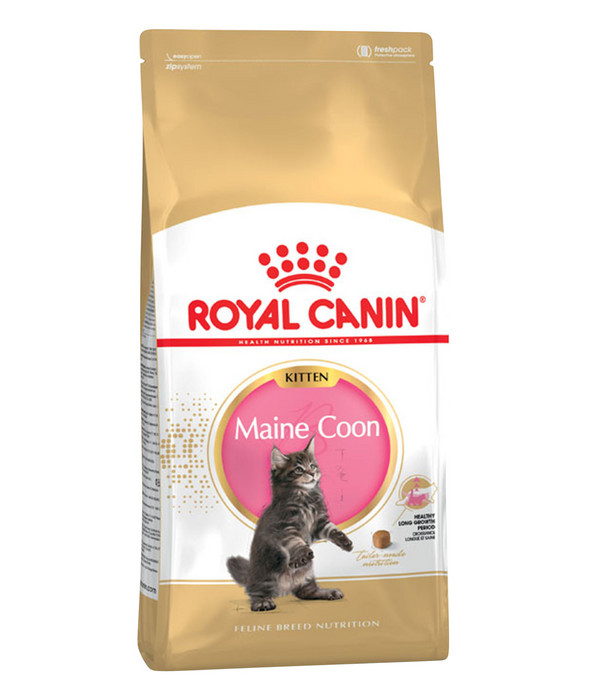 ROYAL CANIN® Trockenfutter für Katzen Maine Coon Kitten