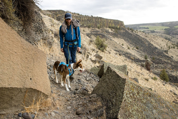 RUFFWEAR® Hitch Hiker™ Hunde-Leinensystem