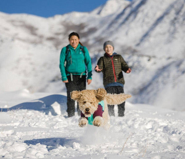 RUFFWEAR® Hundejacke Powder Hound™