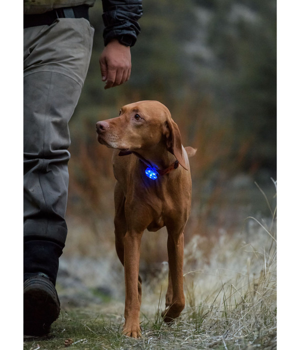 RUFFWEAR® Hunde-Sicherheitsleuchte THE BEACON™