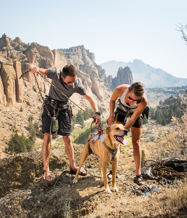 RUFFWEAR® Hundegeschirr DoubleBack™