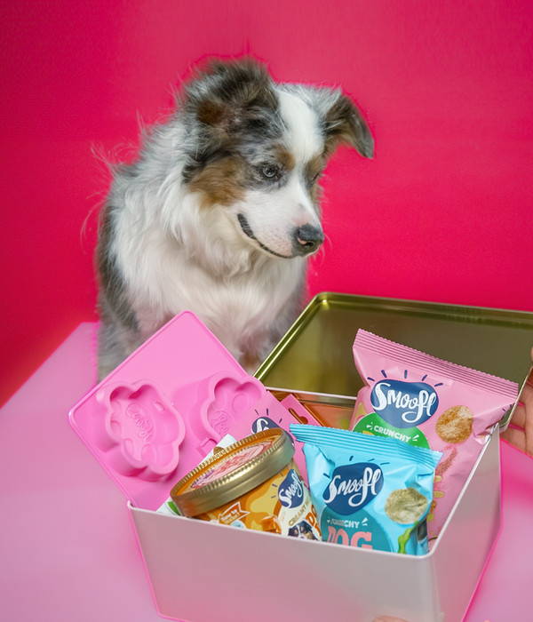 Smoofl Hundesnack Gift Box