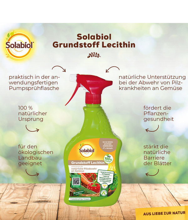 Solabiol® Grundstoff Lecithin Spray, flüssig, 1 l