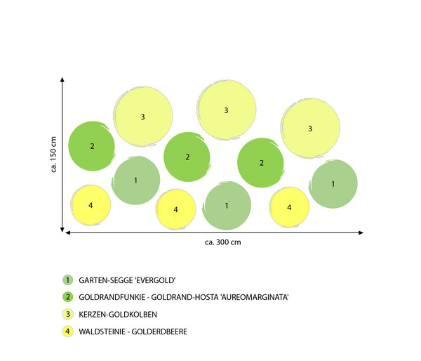Stauden-Set Schattengarten Goldene Akzente, 12-teilig