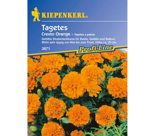 Tagetes Cresto Orange, Saatgut von Kiepenkerl