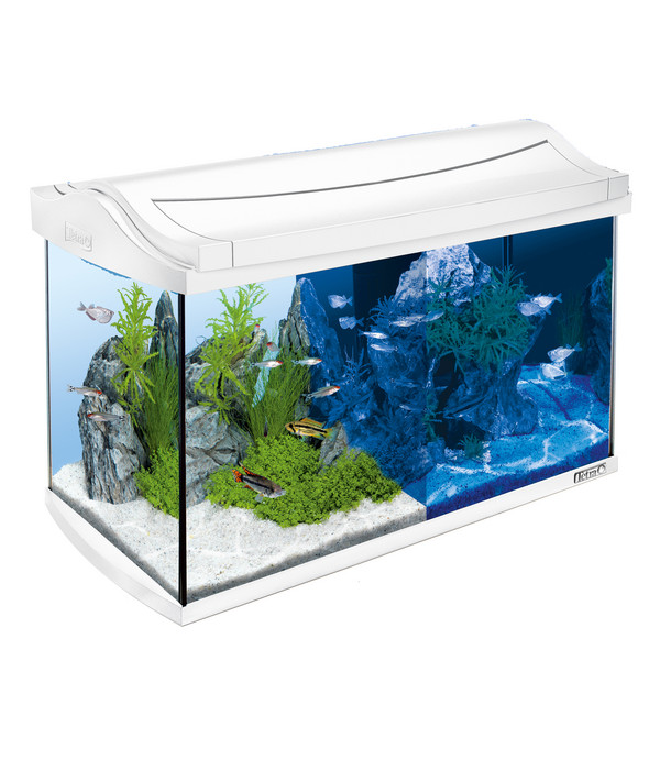 Tetra AquaArt LED Aquarium-Set, 60 Liter