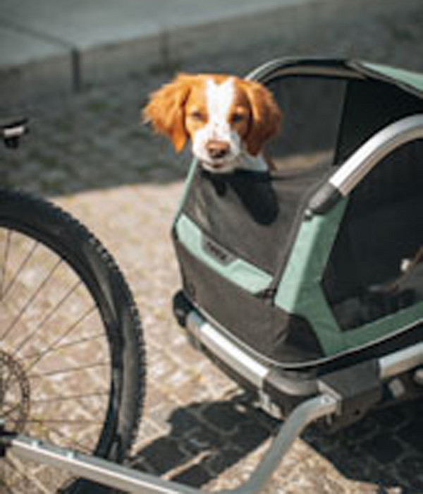 THULE® Bexey Hunde-Fahrradanhänger, Hazy Green