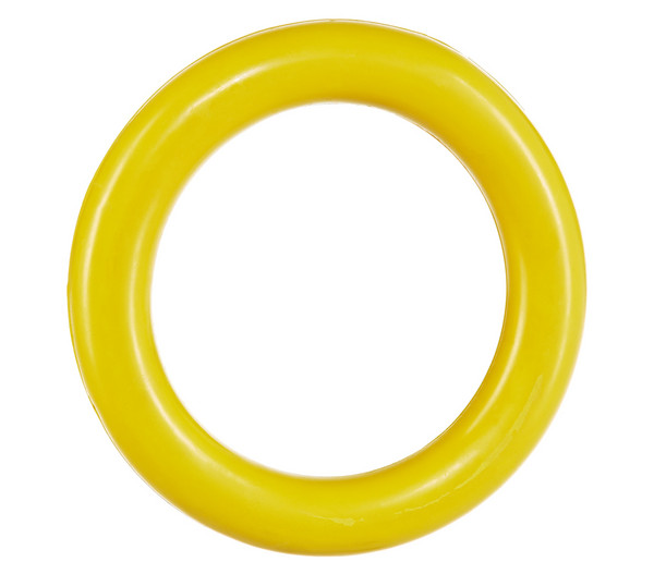 Trixie Hundespielzeug Ring, Ø 16 cm
