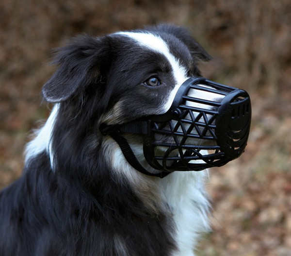 Trixie Maulkorb für Hunde, Kunststoff