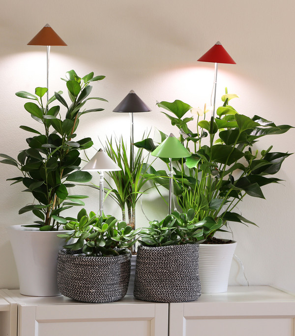 Venso LED-Pflanzenlampe