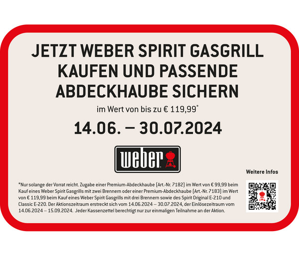 Weber Gasgrill Spirit SP-335 Premium GBS, 60 x 44 cm