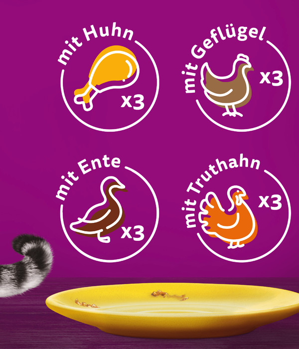Whiskas® Nassfutter für Katzen Multipack Tasty Mix Fish of the day in Sauce, Adult, 12 x 85 g