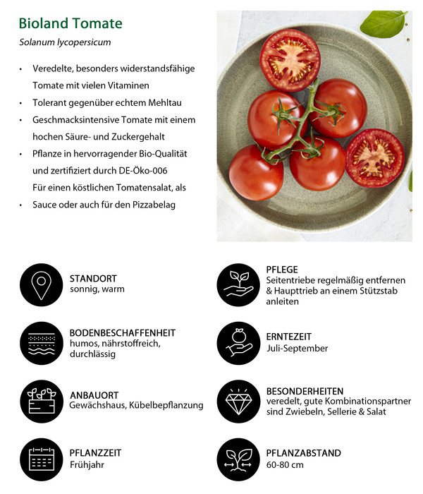 3-teilig Gemüseset Bioland Tomatensalat, Dehner |
