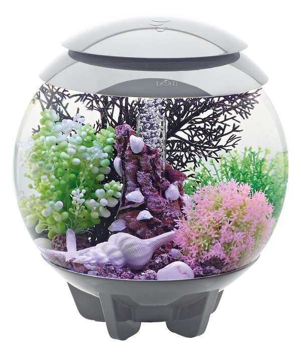 Die passende Aquarium Pumpe – jetzt bei Dehner kaufen!