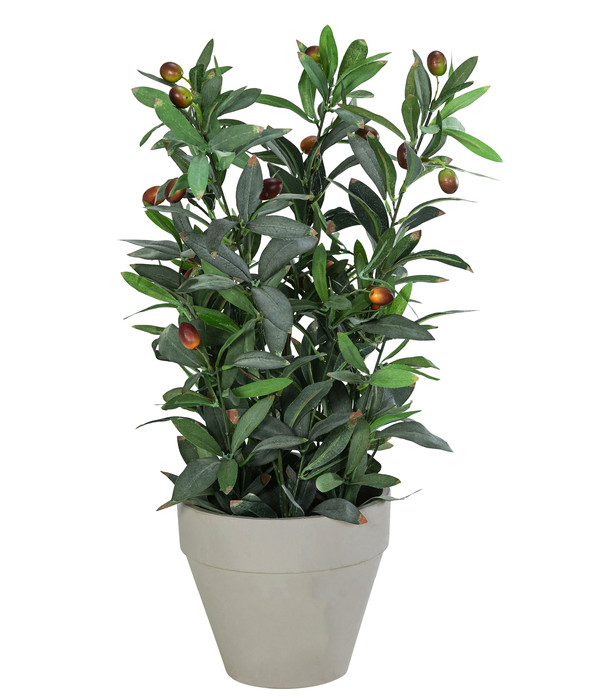 Dehner Kunstpflanze Olivenpflanze | Dehner