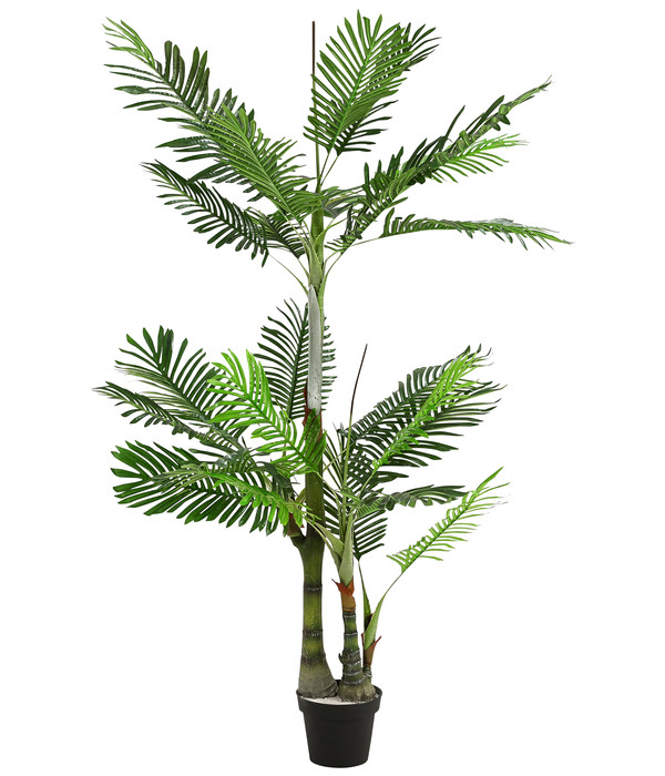 Dehner Kunstpflanze Palme, 190 cm | Dehner
