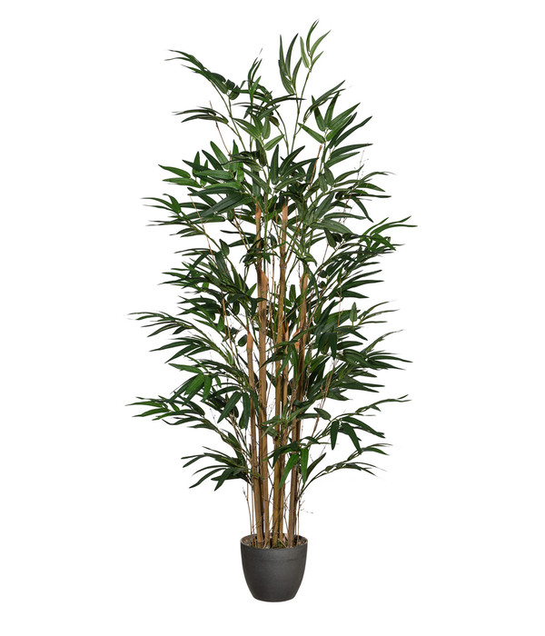 Gasper Kunstpflanze Bambus, ca. H120 cm | Dehner