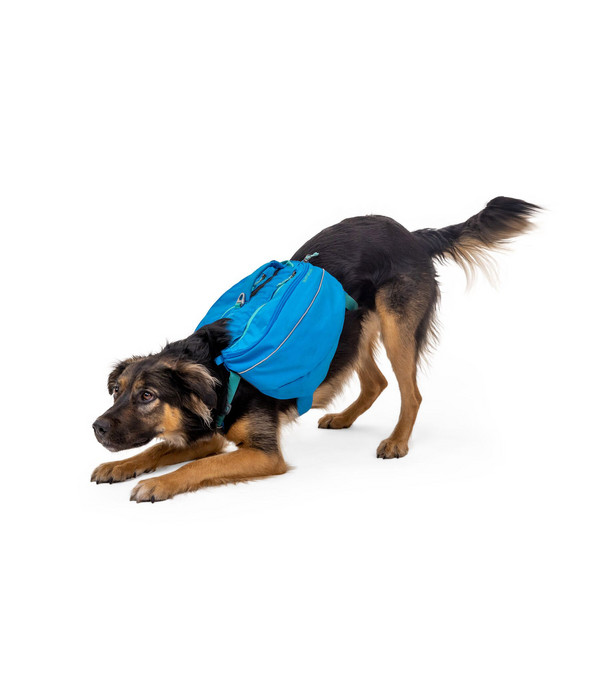 RUFFWEAR Hunderucksack Approach Pack Dehner