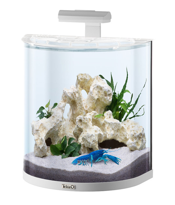 Tetra AquaArt LED Explorer-Line Crayfish, 30 Liter, weiß | Dehner