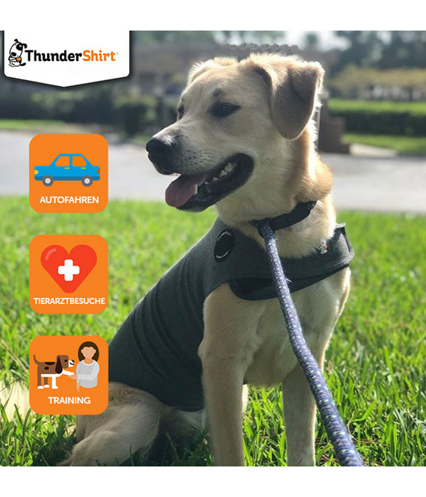 Thundershirt beruhigungsweste shop