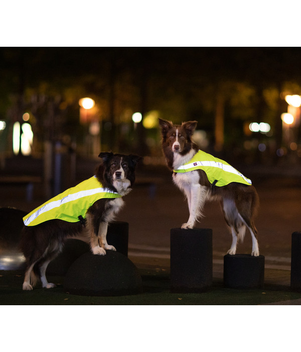 Trixie Sicherheitsweste für Hunde, neongelb