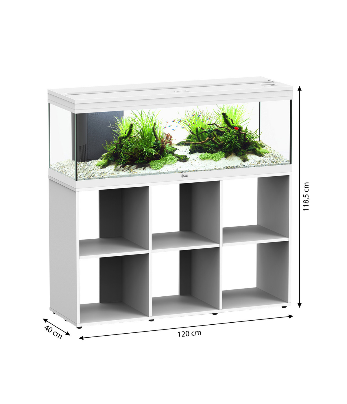 Dehner Aqua Radice Di Mangrove Extra Large Per Acquario - Decorazione Naturale Per Pesci (80-90 Cm, Marrone) - Foto 11