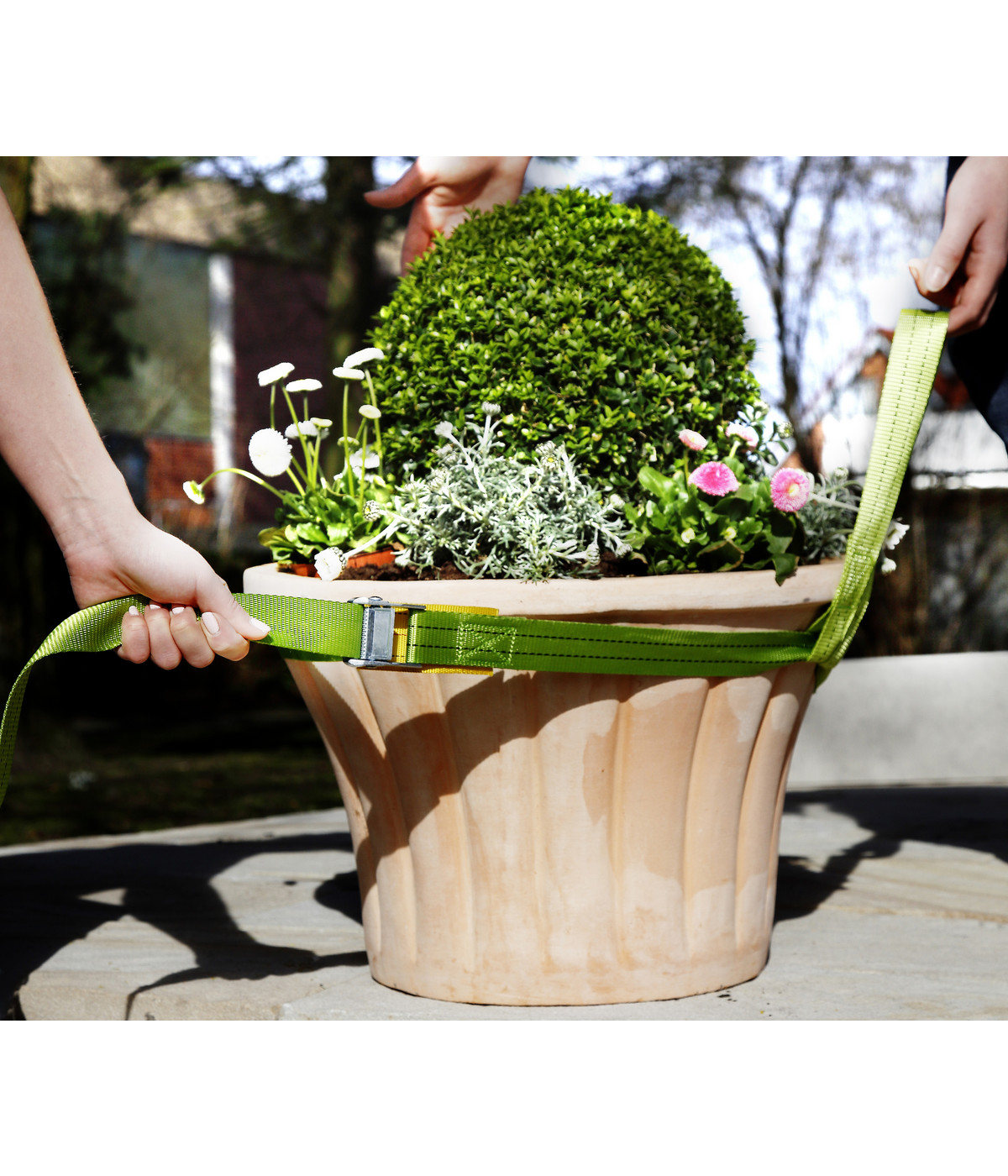 Bio Green Tragegurt für Kübelpflanzen, grün, ca. L250/B3,5 cm Dehner