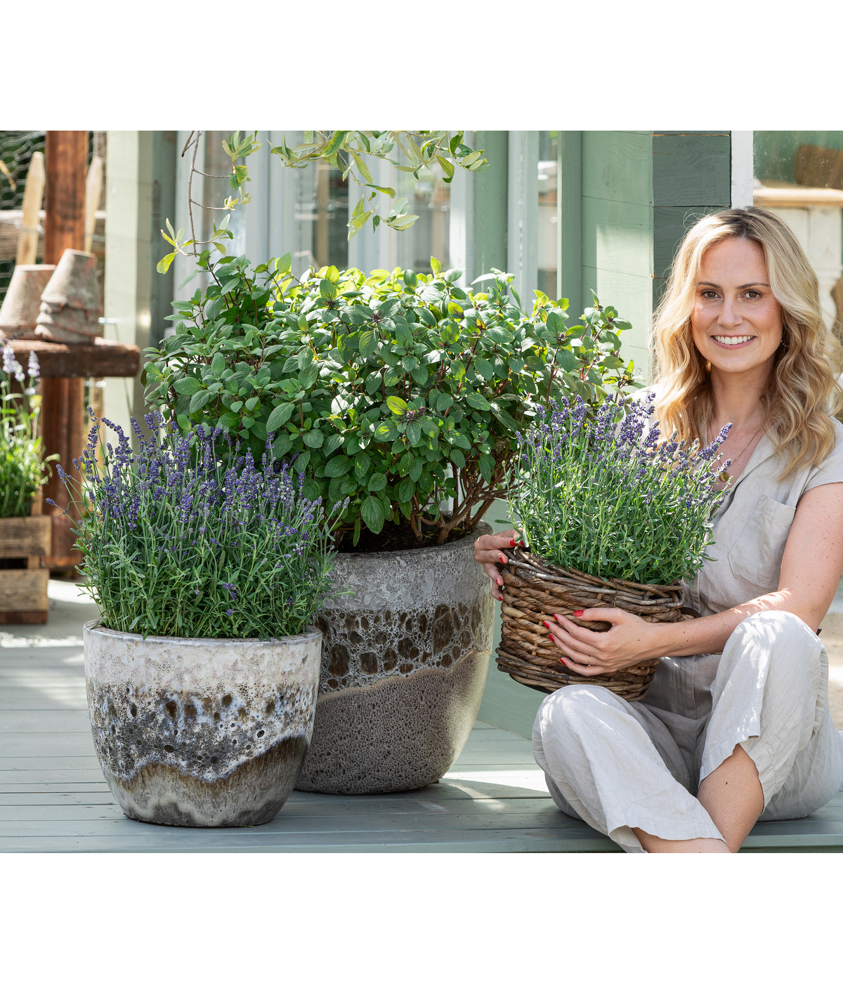 Dehner Gourmet Garten Strauchbasilikum 'Magic Blue' Dehner