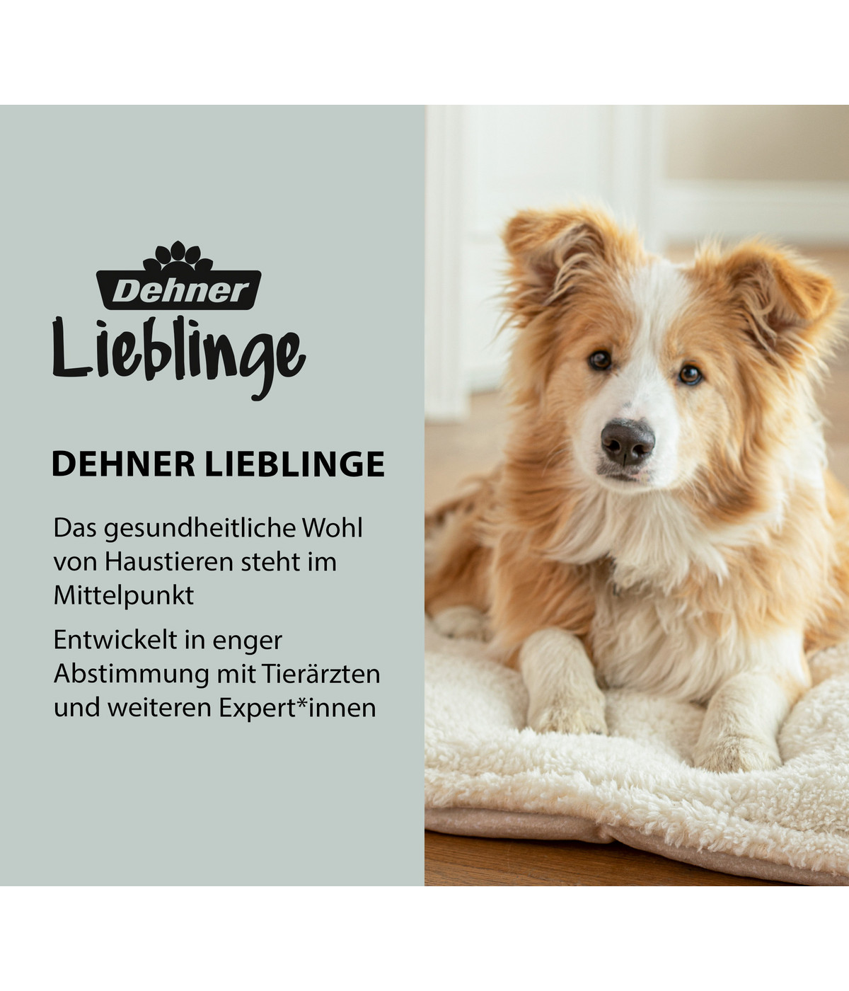 Dehner Lieblinge Floh und Zeckenschutz Spot On für große Hunde, 4 x 2