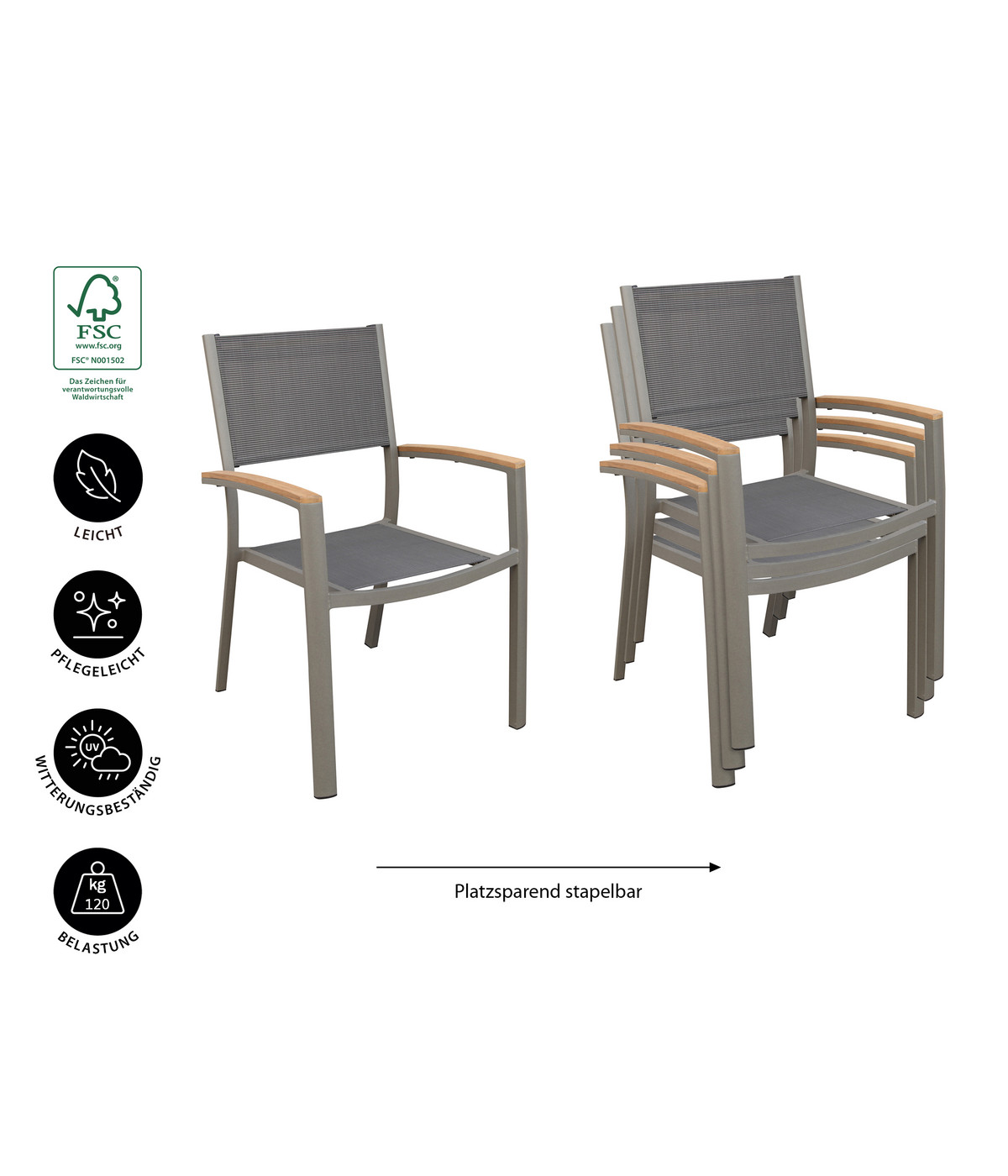 Dehner Stapelstuhl Colmar Dehner