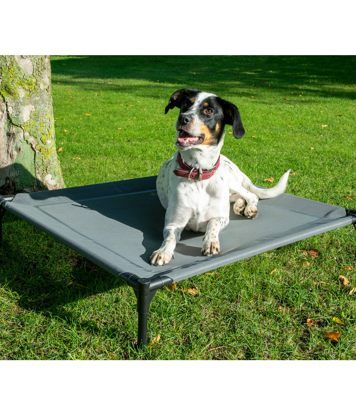 dobar® petlife OutdoorHundeliege, inkl. Sonnendach, ca. B89,5/H86/T80