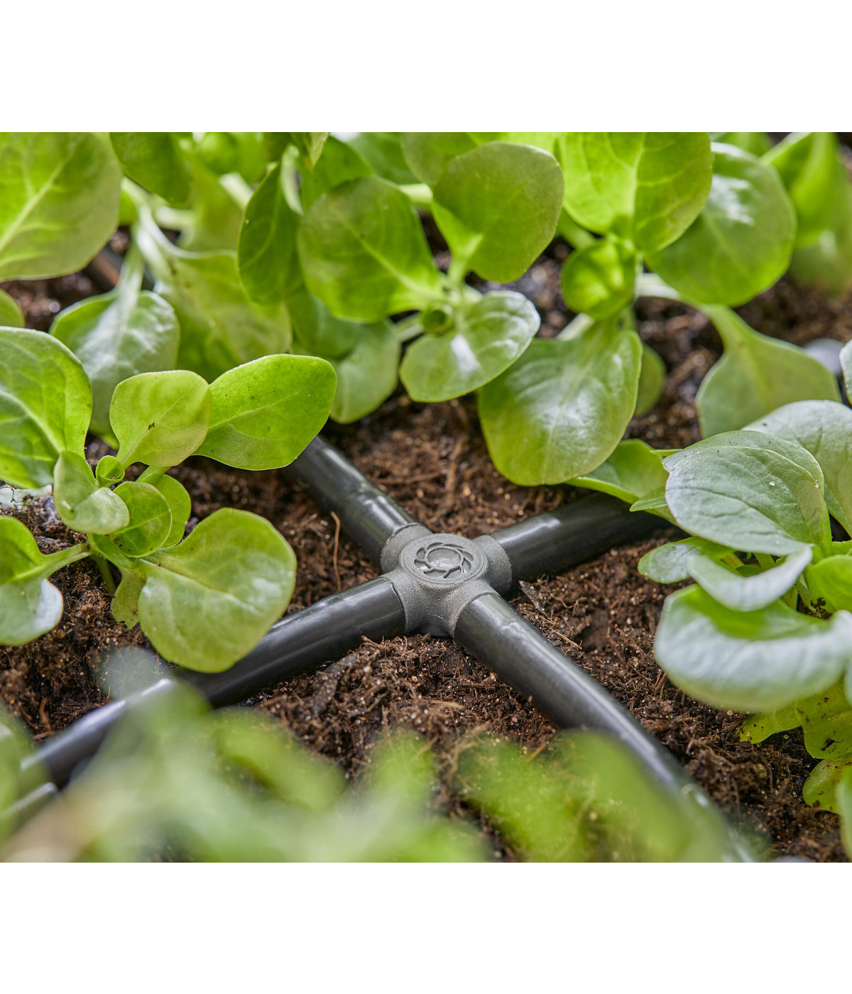 Gardena Micro-Drip Kreuzstück 4,6mm - Bewässerungssystem Zubehör